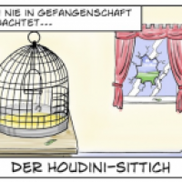 Seltener Vogel
