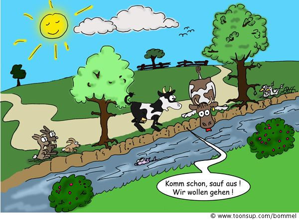 Cartoon: Stehen zwei Kühe am Bach.... 1