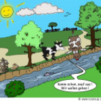 Stehen zwei Kühe am Bach....
