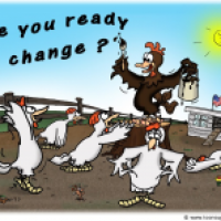 Chicken-Change