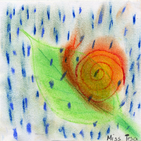 Rainsnail