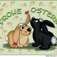 Osterhasis