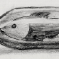 Buddelfisch