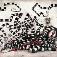 Tim-Krake
