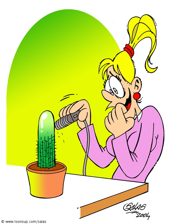 Cartoon: Cactus 1