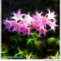 Alien flora