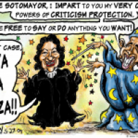 Here Comes The Judge