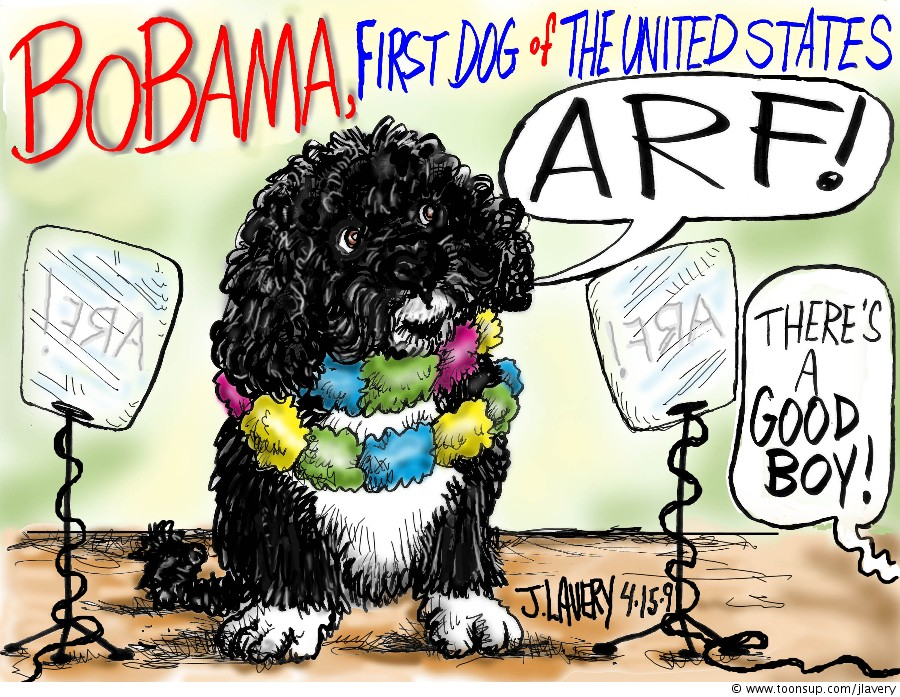 Other: Obama's Dog 1