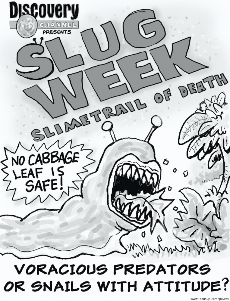 Cartoon: NEW Discovery Channel Series 1