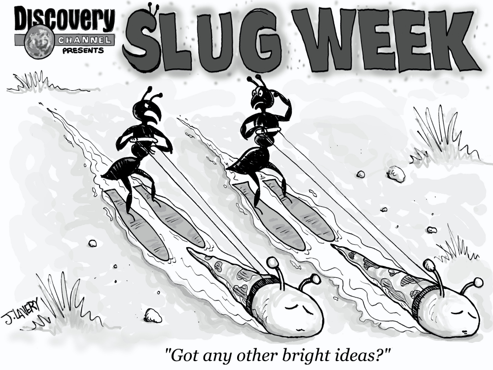 Cartoon: Slug Week 2013 1