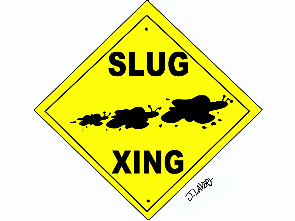 Cartoon: Slug Week, Day Three 1