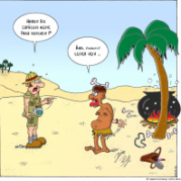 Safari