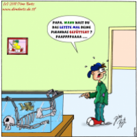 Aqauristik