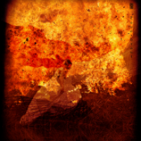 Feuerbraut