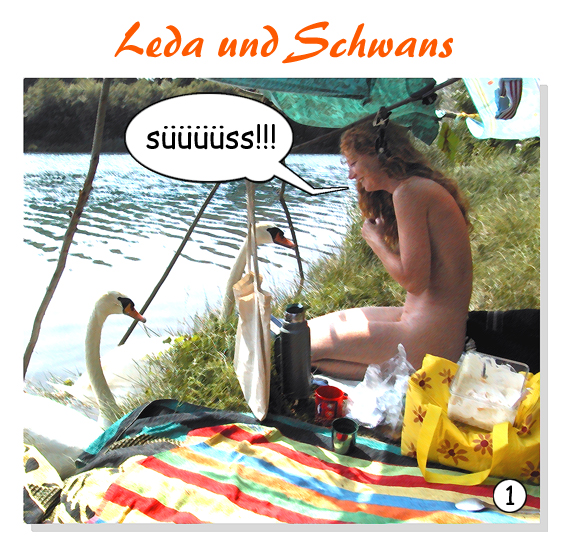 Comic: Leda und Schwans 1