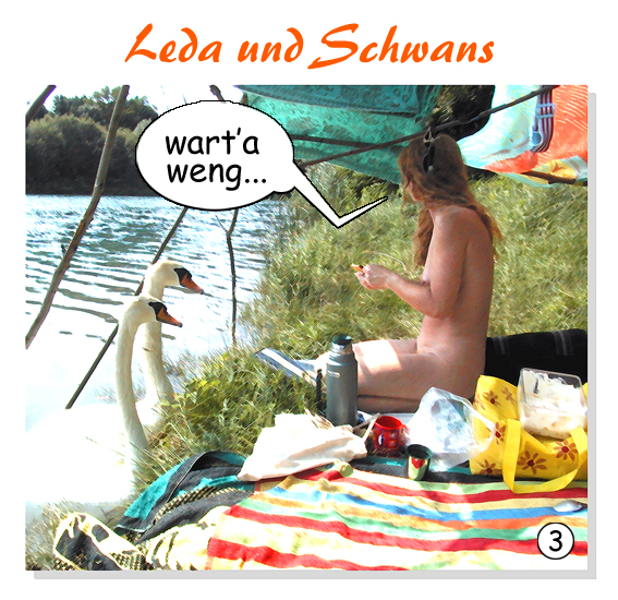 Comic: Leda und Schwans 3