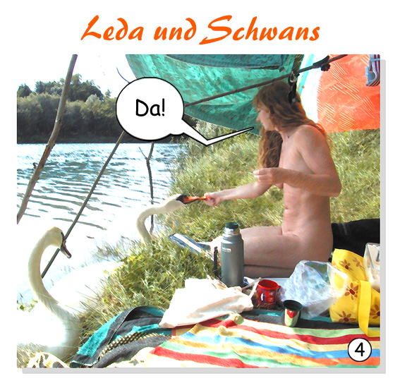 Comic: Leda und Schwans 4