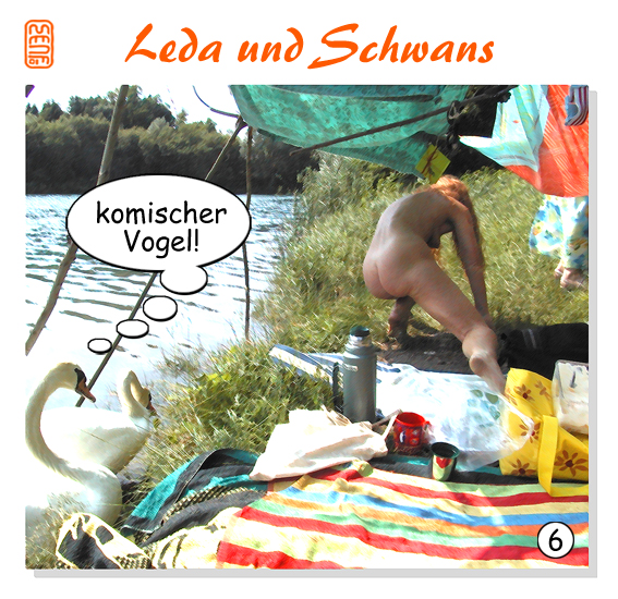Comic: Leda und Schwans 6