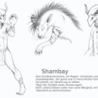 WMT 2012 - Shambay