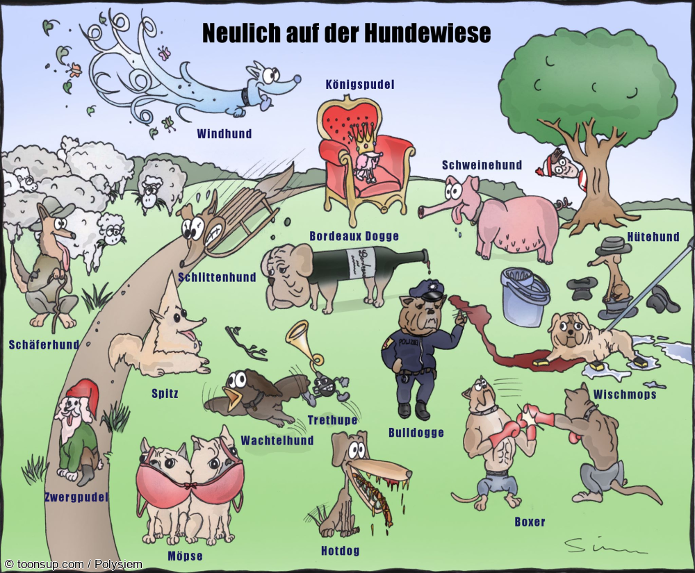 Rate- / Wimmelbild: Hundewiese 1