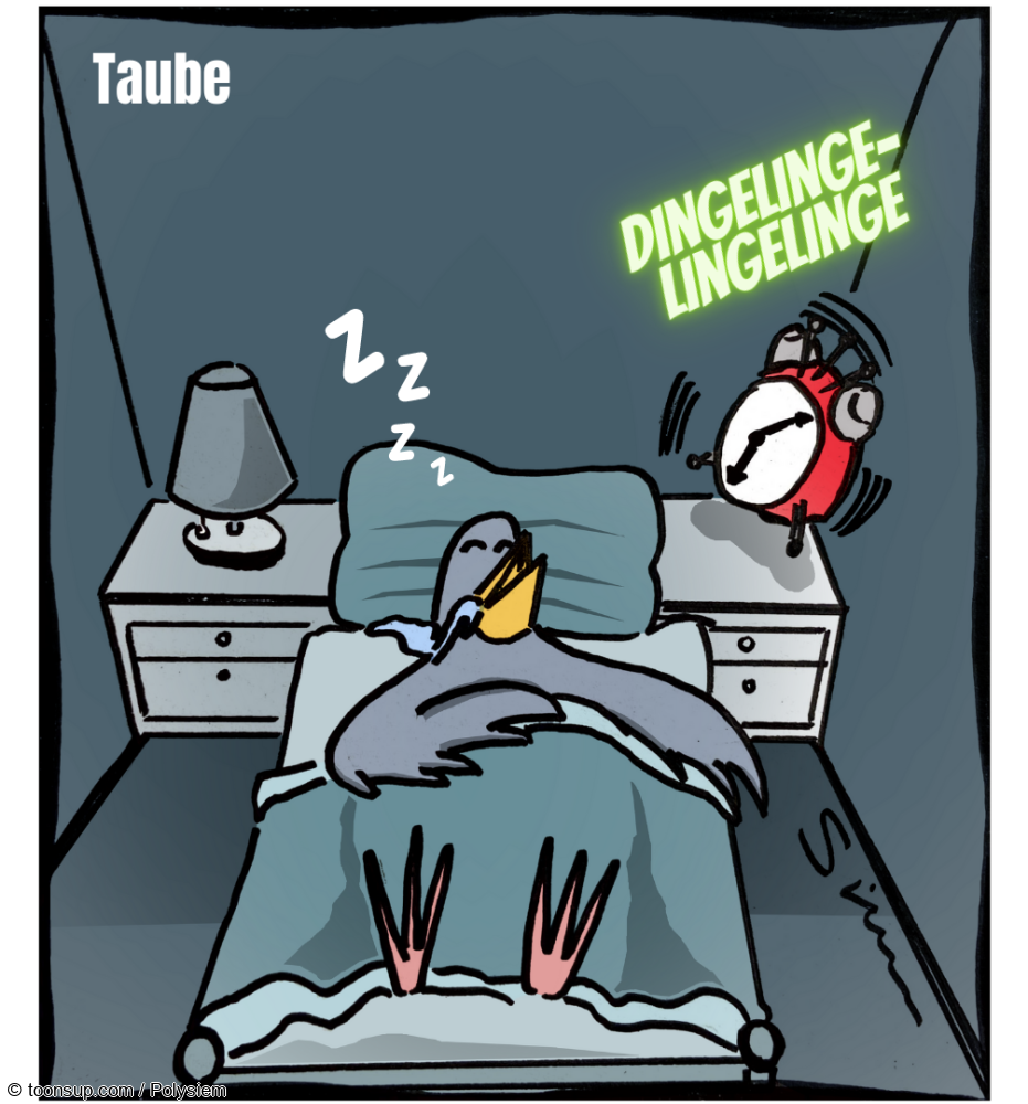 Cartoon: Taube 1