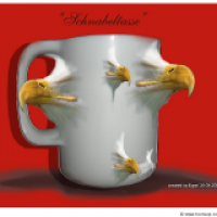 SchnabelTASSE