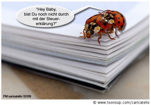 Anderes: Käferei 1