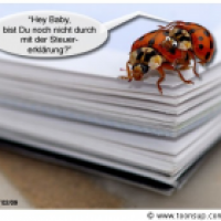 Käferei