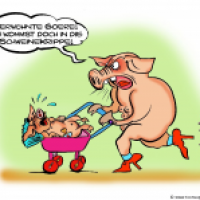 'SchweineKrippe'