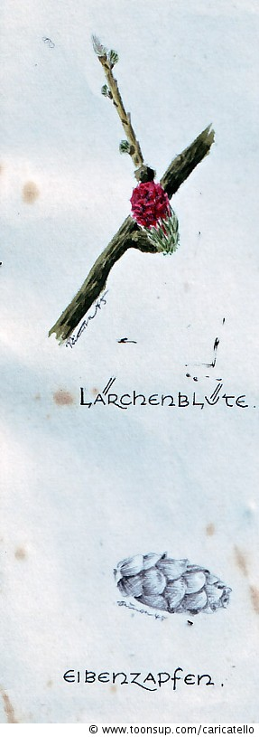Other: 65 Jahre altes Heftchen von er Front 12