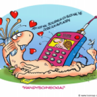 Schleimilia