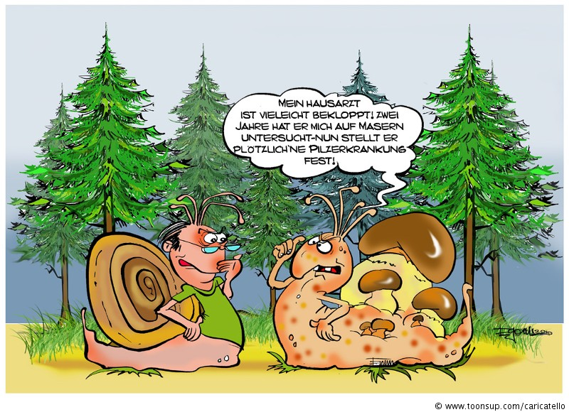 Cartoon: Irrtum 1