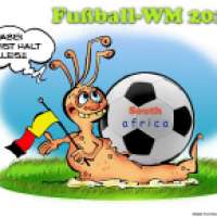 Schnecken Power WM