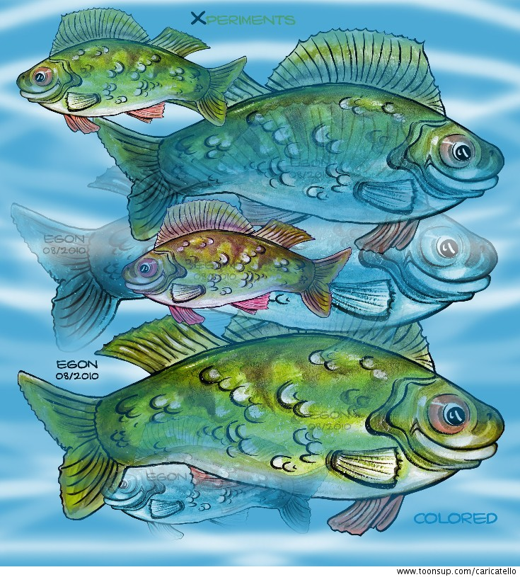 Illustration: FischExperimente 1