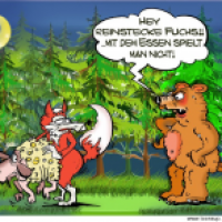 ReinsteckeFuchs