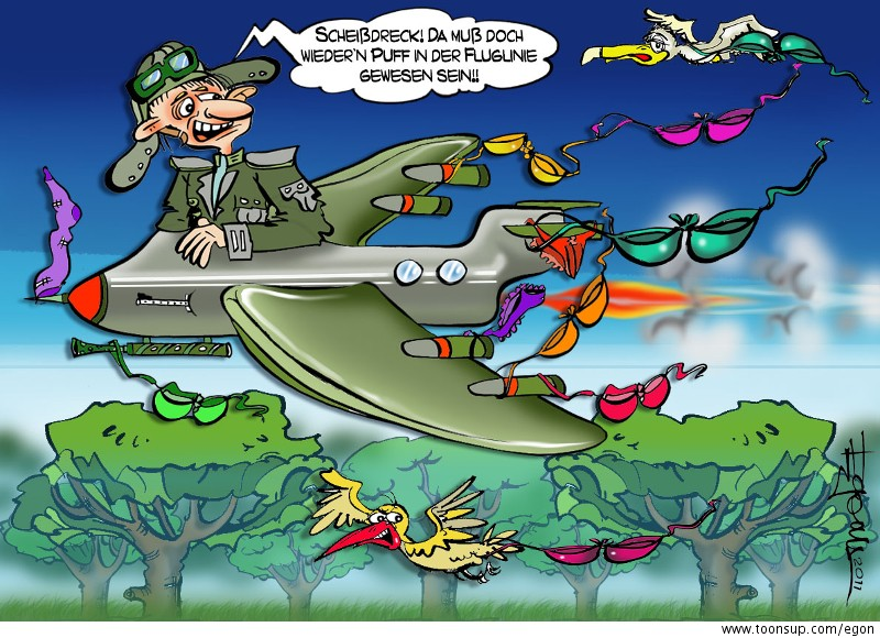 Cartoon: BH-2011 AirFighter 1