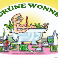 Es ging um den Begriff:'Grüne Wonne'GartenKunst Prenzlau