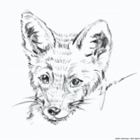 Fuchs Blei,Var.3;Var.4