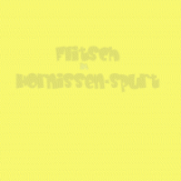 Flitsch`s Hornissen-Spurt