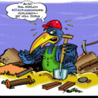KRÄHNAGE aus der Serie KRÄHnomenales