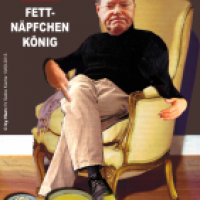 Polit WahlkampfPosters 2013