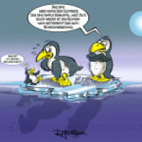PinguKinder