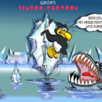 Pingofolge:Fressen
