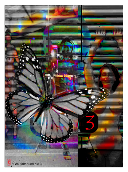 Illustration: Graufalter und die 3 1