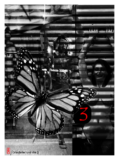 Illustration: Graufalter und die 3 2