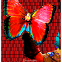 Butterbeast 5