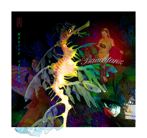 Illustration: nautic salome 1