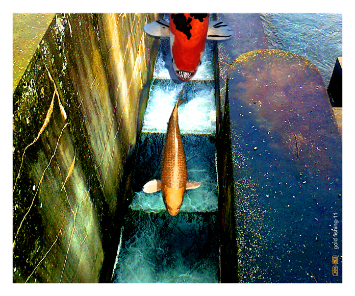 Illustration: Gold Fishing 1