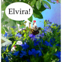 ELVIRA