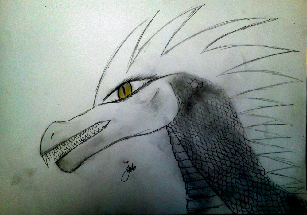 Anderes: Drachen Kopf 1